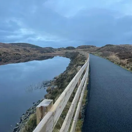 Roshine Hill Shanbally